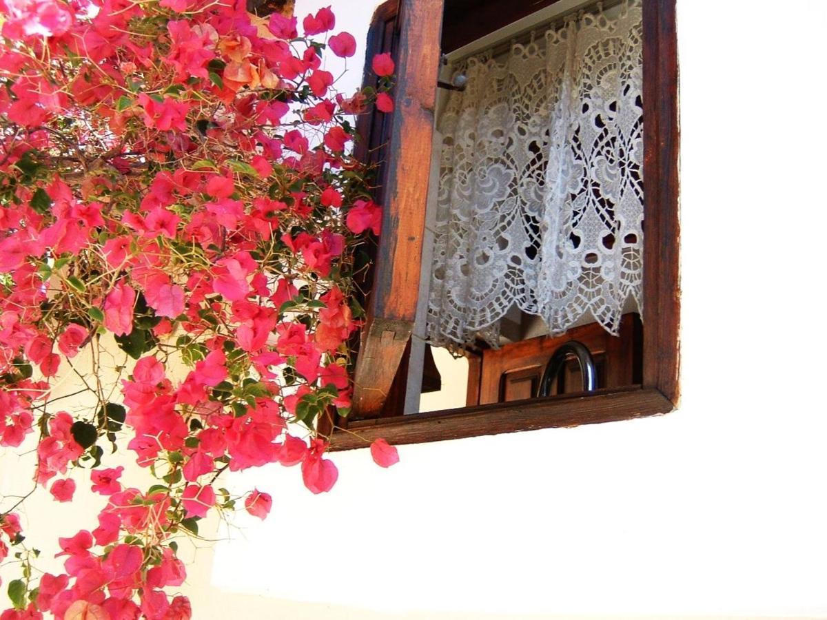 Yiayia'S Home Chalki Town Eksteriør billede